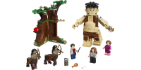 LEGO Harry Potter La Forêt interdite : la rencontre d'Ombrage 2020
